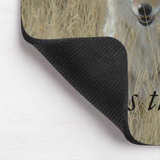 R2 Coyote in Großgras Mousepad (Ecke)