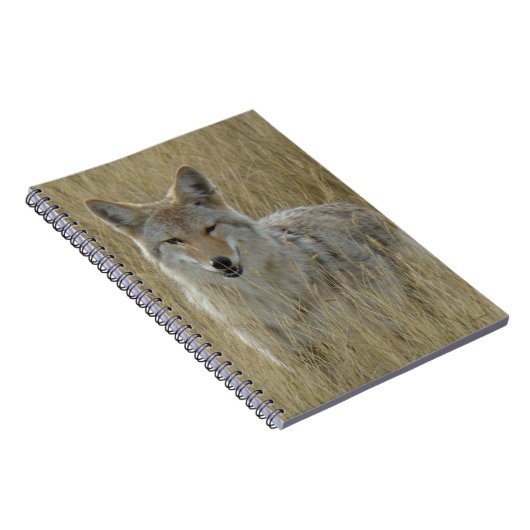 R2 Coyote in Großgras Notizblock (Rechte Seite)