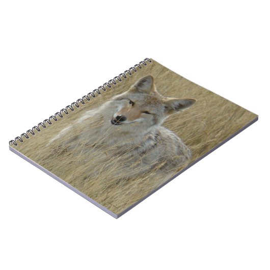 R2 Coyote in Großgras Notizblock (Linke Seite)