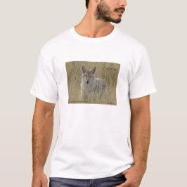 R2 Coyote in Großgras T-Shirt