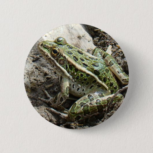 R3 Leopard Frosch Button (Vorderseite)