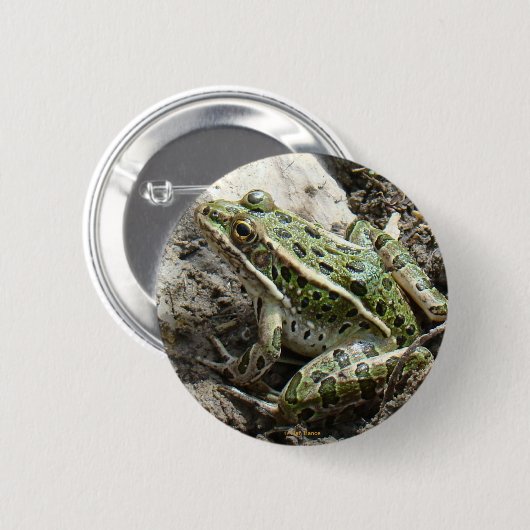 R3 Leopard Frosch Button (Vorne & Hinten)