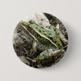R3 Leopard Frosch Button