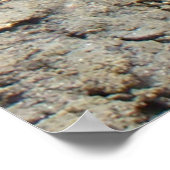 R3 Leopard Frosch Poster (Ecke)