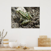 R3 Leopard Frosch Poster (Küche)