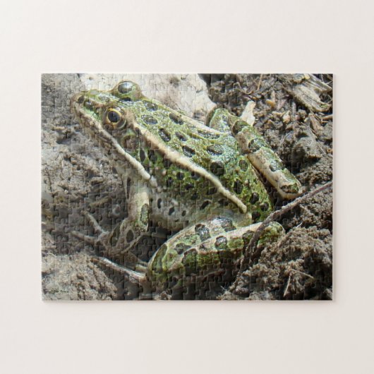 R3 Leopard Frosch Puzzle (Horizontal)