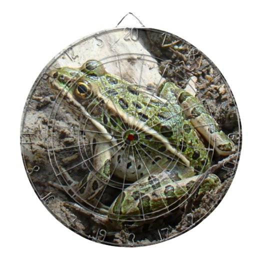 R3 Leopardfrosch Dartscheibe (vorne)