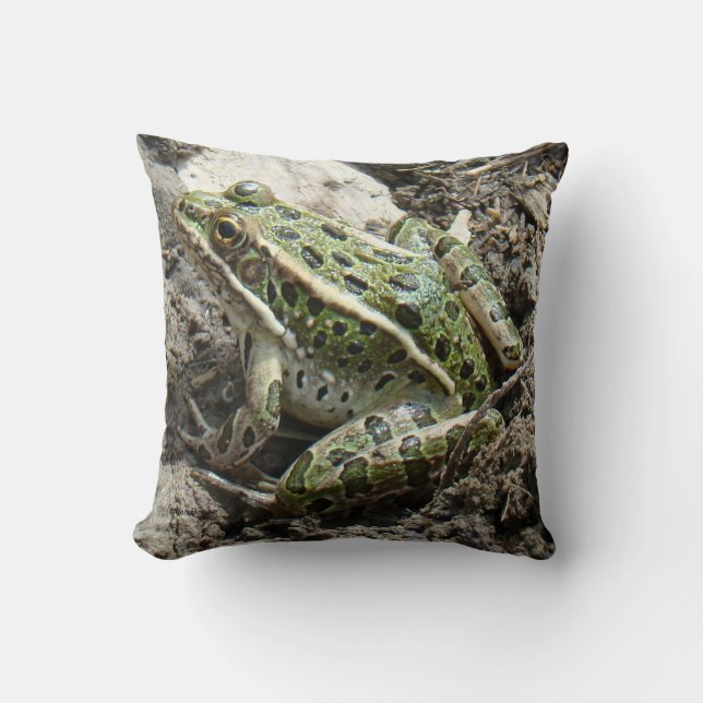 R3 Leopardfrosch Kissen (Vorderseite)