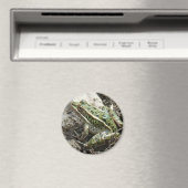 R3 Leopardfrosch Magnet (In Situ (Geschirrspüler))