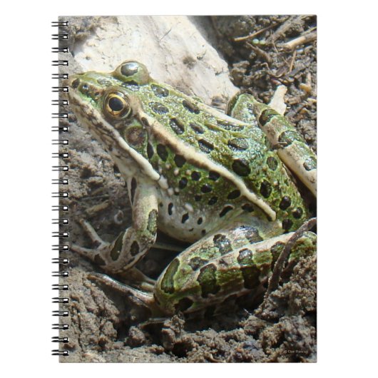 R3 Leopardfrosch Notizblock (Vorderseite)