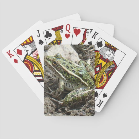 R3 Leopardfrosch Spielkarten (Rückseite)