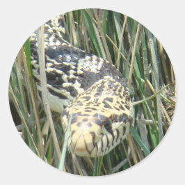 R4 Bull Snake im Gras Runder Aufkleber