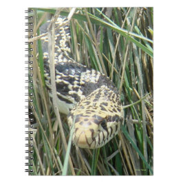 R4 Bull Snake Notizblock