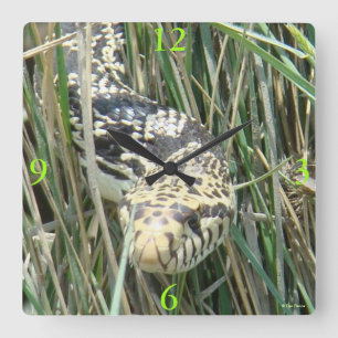 R4 Bull Snake Quadratische Wanduhr