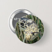 R4 Bullennatter Button (Vorne & Hinten)