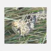 R4 Bullenschlange im Gras Fleecedecke (Vorderseite (Horizontal))