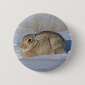 R5 Cottontail Kaninchen im Schnee Button (Vorderseite)