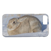 R5 Cottontail Kaninchen im Schnee Case-Mate iPhone Hülle (Rückseite (Horizontal))