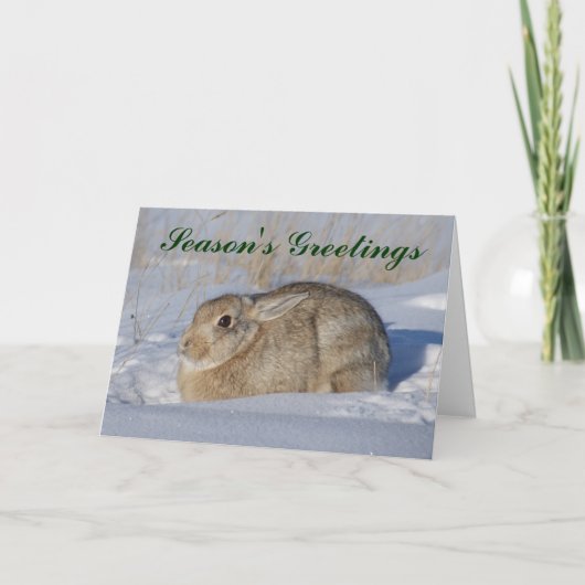 R5 Cottontail Kaninchen im Schnee Feiertagskarte (Vorderseite)