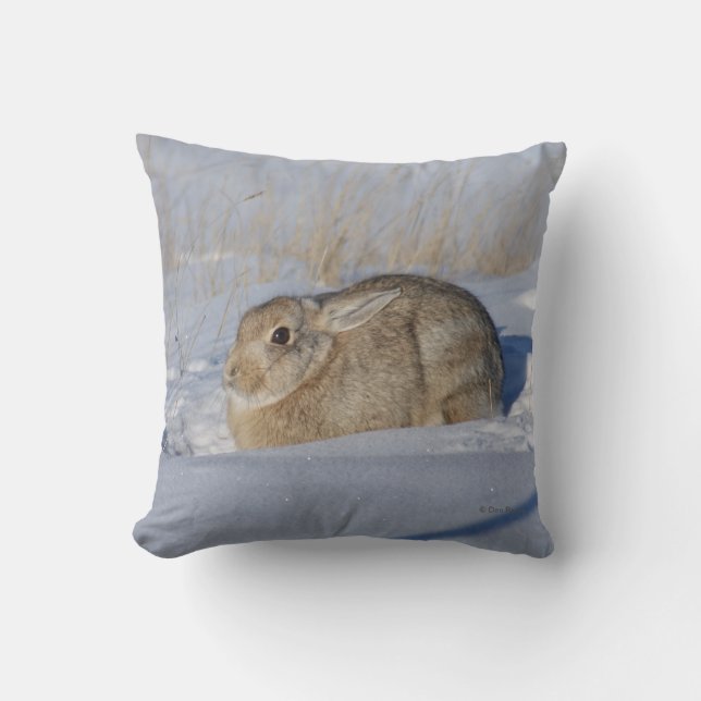 R5 Cottontail Kaninchen im Schnee Kissen (Vorderseite)