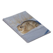R5 Cottontail Kaninchen im Schnee Notizblock (Rechte Seite)