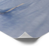 R5 Cottontail Kaninchen im Schnee Poster (Ecke)