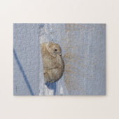 R5 Cottontail Kaninchen im Schnee Puzzle (Horizontal)