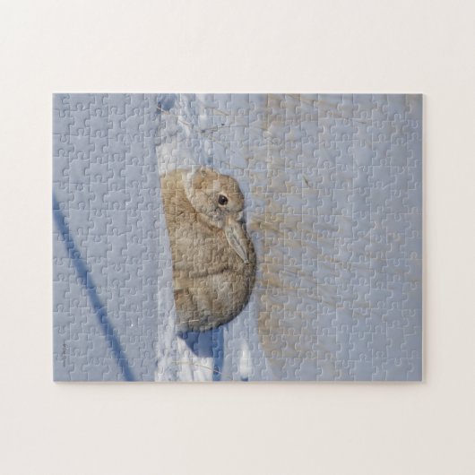 R5 Cottontail Kaninchen im Schnee Puzzle (Horizontal)