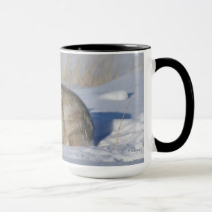 R5 Cottontail Kaninchen im Schnee Tasse