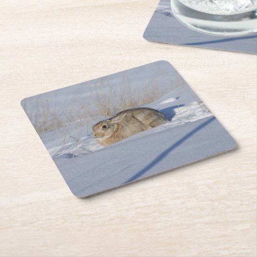 R5 Cottontail Rabbit Rechteckiger Pappuntersetzer (angewinkelt)