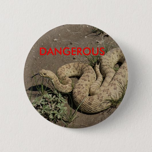 R6 Prairie Rattlesnake Button (Vorderseite)