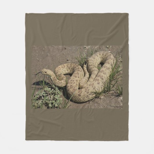 R6 Prairie Rattlesnake Fleecedecke (Vorderseite)
