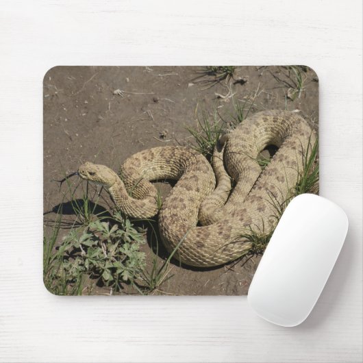 R6 Prairie Rattlesnake Mousepad (Mit Mouse)