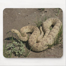 R6 Prairie Rattlesnake Mousepad