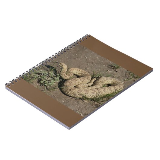 R6 Prairie Rattlesnake Notizblock (Linke Seite)