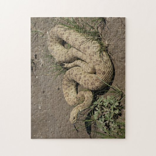 R6 Prairie Rattlesnake Puzzle (Vertikal)