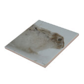 R7 Schneeschuh Hare Head Shot Fliese (Seite)