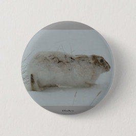 R7 Schneeschuhschuhe bereit zum Laufen Button