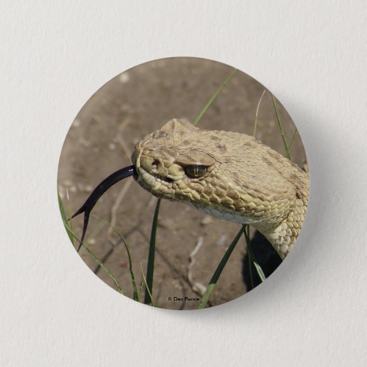 R8 Prairie Rattlesnake Head Shot Button (Vorderseite)