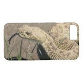 R8 Prairie Rattlesnake Head Shot Case-Mate iPhone Hülle (Rückseite (Horizontal))