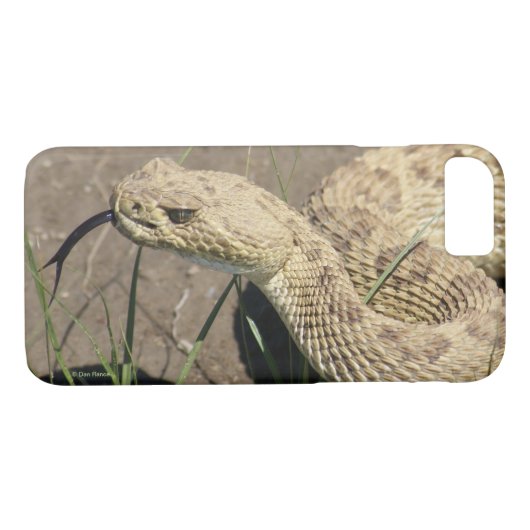 R8 Prairie Rattlesnake Head Shot Case-Mate iPhone Hülle (Rückseite (Horizontal))