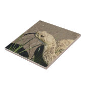 R8 Prairie Rattlesnake Head Shot Fliese (Seite)