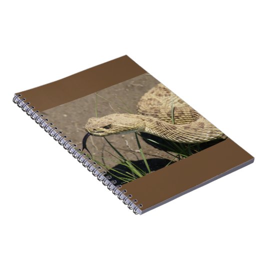 R8 Prairie Rattlesnake Head Shot Notizblock (Rechte Seite)