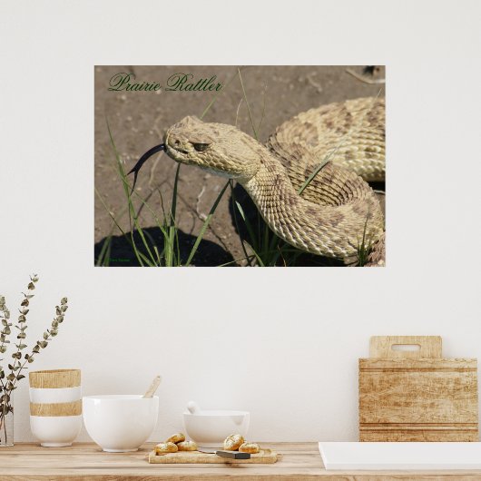 R8 Prairie Rattlesnake Head Shot Poster (Küche)