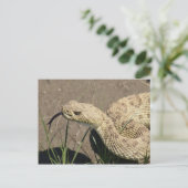 R8 Prairie Rattlesnake Head Shot Postkarte (Stehend Vorderseite)
