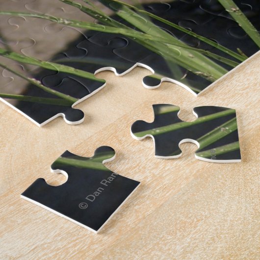 R8 Prairie Rattlesnake Head Shot Puzzle (Seite)