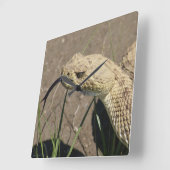 R8 Prairie Rattlesnake Head Shot Quadratische Wanduhr (Winkel)