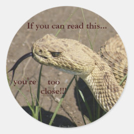 R8 Prairie Rattlesnake Head Shot Runder Aufkleber