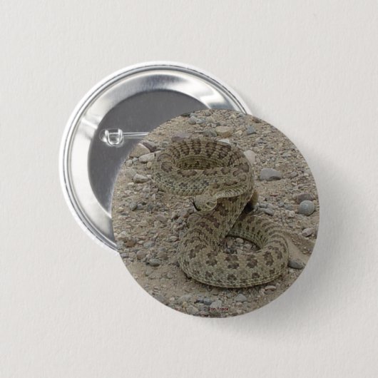 R9 Prairie Rattlesnake Button (Vorne & Hinten)
