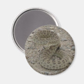 R9 Prairie Rattlesnake Coiled Magnet (Vorderseite/Rückseite)